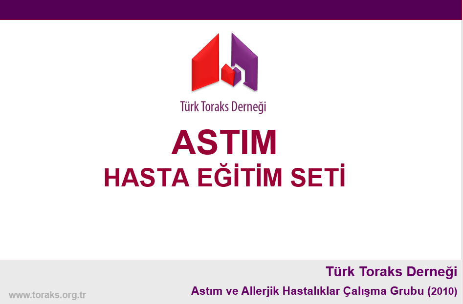 Resim 3a ve b. Yenilenen astım hasta slayt setleri